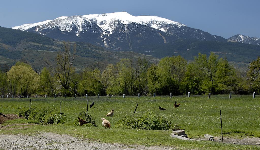 Mas Mallol Puigcerdà Exterior foto